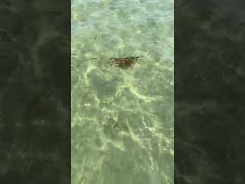 Are you a Beach Person? 😁 Al Uquir 🇸🇦 I Hassan knb?