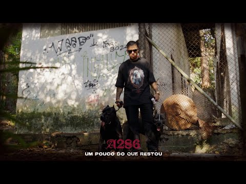 A286 -  Um pouco do que restou (Official Video)