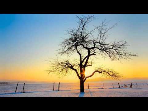 GAUDIUM - Wenn i amol