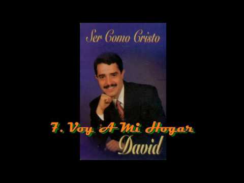 7. DAVID INZUNZA - VOY A MI HOGAR