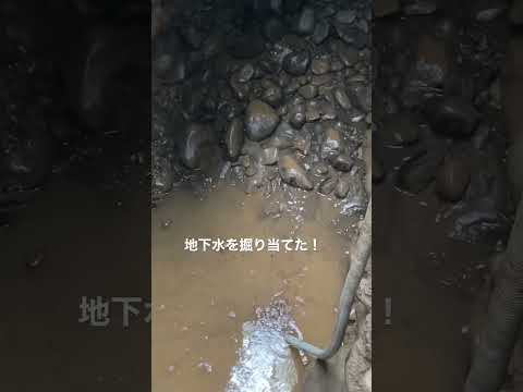 家や庭の水質を確保するために、掘り抜き井戸、古い井戸、または地上井戸を掃除するにはどうすればよいですか?  庭園