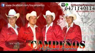 campeños 2013   corrido ramiro sierra