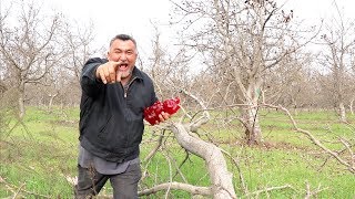 Merry Christmas 🎄 everyone, we love you all.