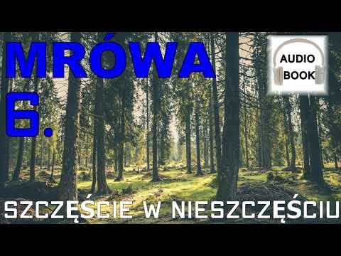 Mrówa: A Fortune in Misfortune - audiobook pl, fantasy