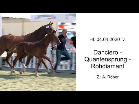 Hf v Danciero x Quantensprung x Rohdiamant 2020