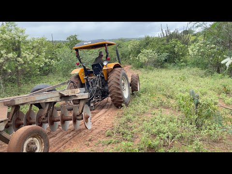 O tratorista da prefeitura no meio da mata procurando a terra a onde ele vai fazer o corte de terra