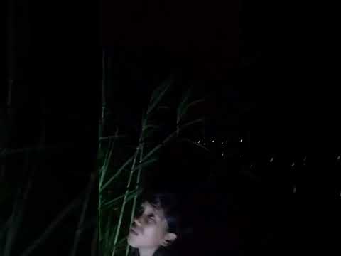 buwis Buhay na panghuhuli Ng Salagubang..