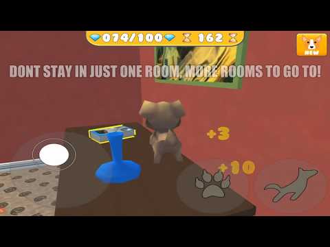 doggy dog: the naughty Pet Video