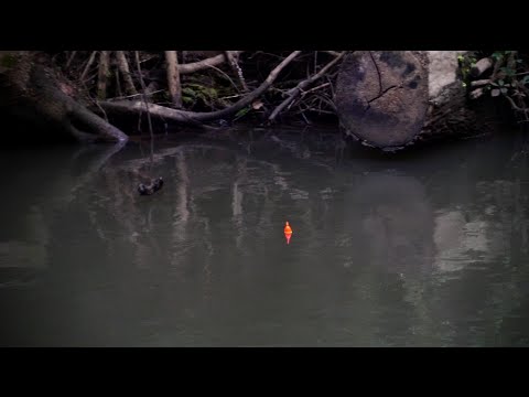 4K Steelhead BOBBER DOWNS - Epic Summer Skamania Float Fishing