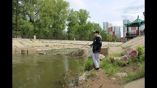 Все для карпа ловля в красноярске