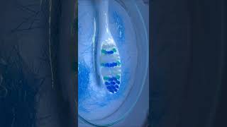 Download lagu Examine a Toothbrush Under a Microscope | TULO - Microscope #shorts #microscope #underamicroscope mp3 Download lagu Examine a Toothbrush Under a Microscope | TULO - Microscope #shorts #microscope #underamicroscope mp3