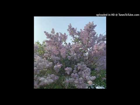 (FREE!) MAYOT x LOVV66 x SEMEE type beat (prod. by @97whytee + @Jacoby!)