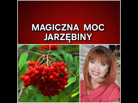 Magiczna Moc Jarzębiny