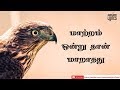 Maatram Ondrudhan Maaradhadhu Whatsapp Status