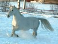 Александр Малинин - Белый конь 