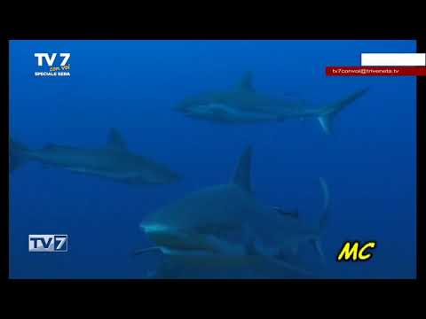 TV7 CON VOI SPECIALE SERA DEL 7/3/23 (4 di 6) - Andiamo a Cuba