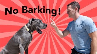 Teach your dog to stop barking at the door! | Great Dane Care