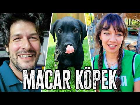 The New Member of the Family: The Hungarian Prince!