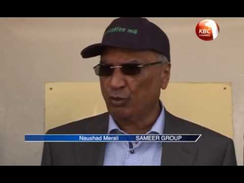 Sasini diversifies into macadamia production