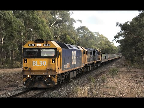 BL30 -X48-XR559 on 7936V on Bealiba Bank.  10-06-23.