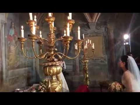 The Florence String Quartet - Solo Violin