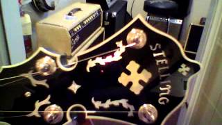 Mandolin Brothers: Stelling Golden Cross Banjo and Martin OM21 Special Lefty