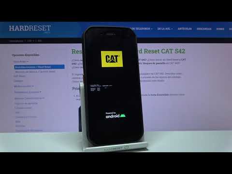 Cómo formatear CAT S42 - quitar bloqueo, restaurar de fábrica