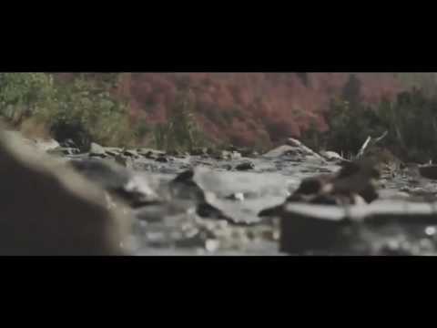 AGA-INI - Алтын күз