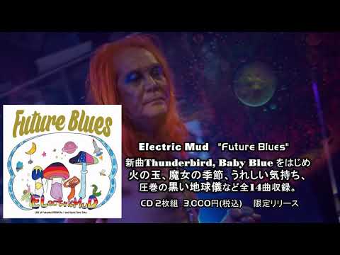 Tiger in Your Tank/Future Blues PV