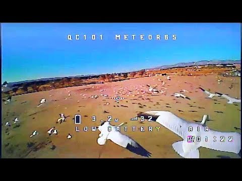 meteor65-1s-tiny-whoop-fpv-drone-with-high-current-connector-flight-test-review