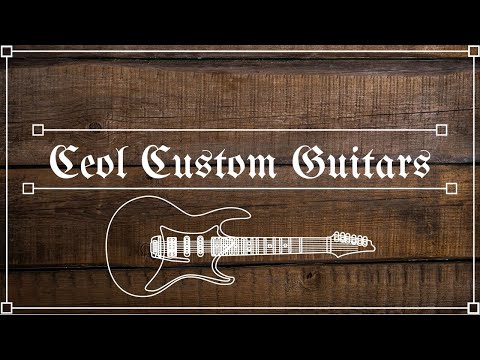 We're Back!! New PRS Style Build!