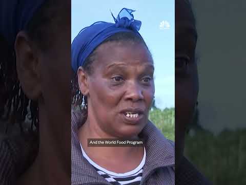 War with Iran threatens global fertilizer supply, driving concerns of food price spike