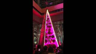 2017.12/24東京駅前丸ビル、ツリーライトアップ