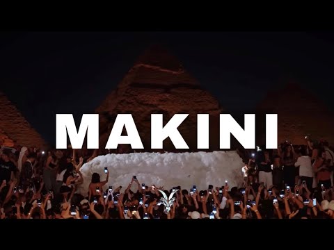 VINI - MAKINI (AFRO HOUSE Keinemusik Remix)