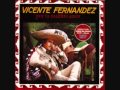 Vicente Fernandez - Despues Del Rosario