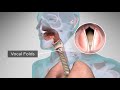 How Does the Human Body Produce Voice and Speech?