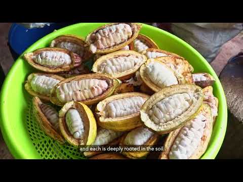 Benns Ethicoa 2.0: A new chapter begins