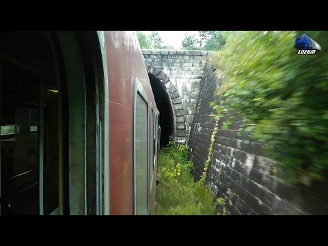 Calatorie/Ride Sacel - Dealu Stefanitei cu/with DA 60-0808-0 & R4134 Sighetu-Cluj 29 September 2016