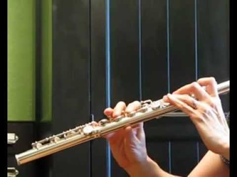 Alexander Eppler Handmade Flute (Used) - Demo of Low to Mid Registers