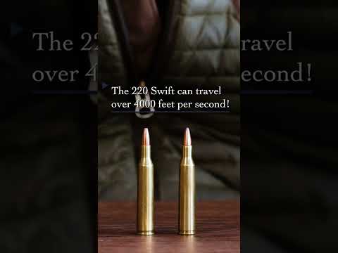Swift Bullets