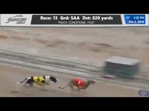 2018 Delta Course Derby Championship