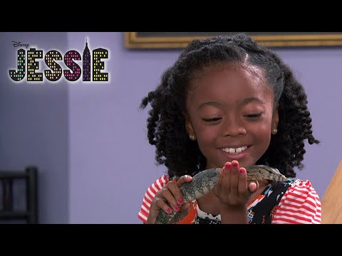 Grünäugige Monster - GANZE FOLGE | Jessie