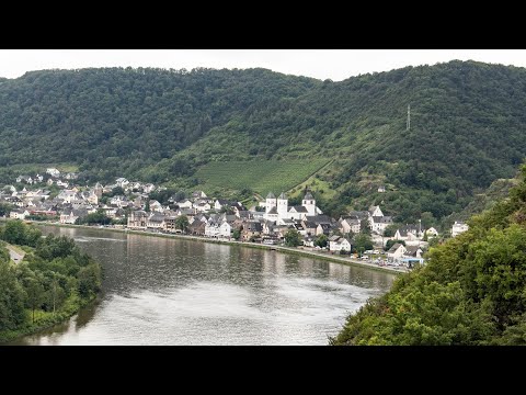 Wandelen langs de Moezel - Moselsteig etappe 20 - Treis Karden-Moselkern