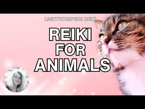 Reiki ❘ ANIMALS PETS ❘ - Energy Healing 582Hz Music