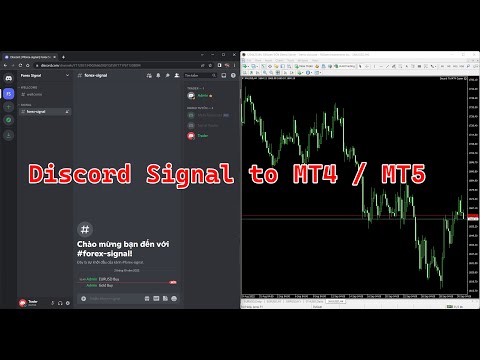 Video Discord Signal Copier