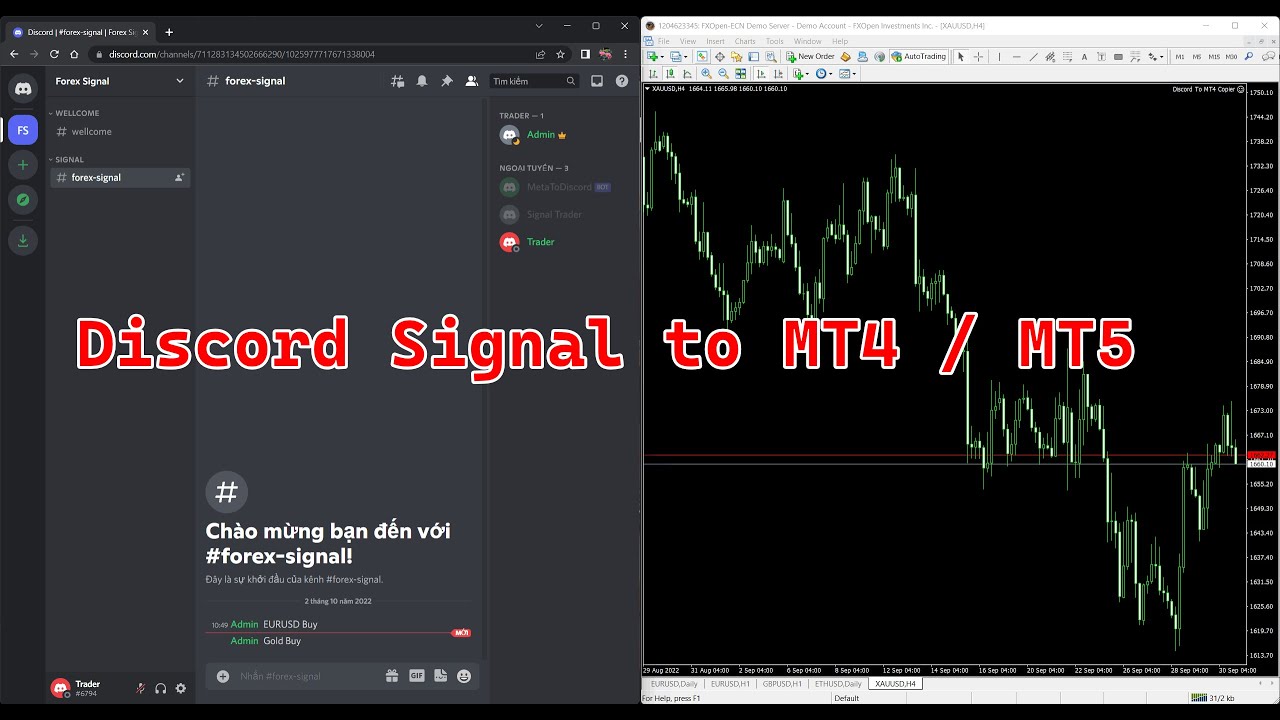 Discord signal copier MT4 / MT5 - Sao chép giao dịch từ Discord vào MT4 / MT5