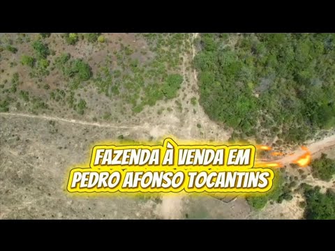 FAZENDA À VENDA EM PEDRO AFONSO-TO, (63)984079880