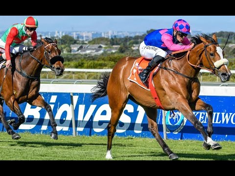 MAJORCA STAKES: A MATCH RACE?