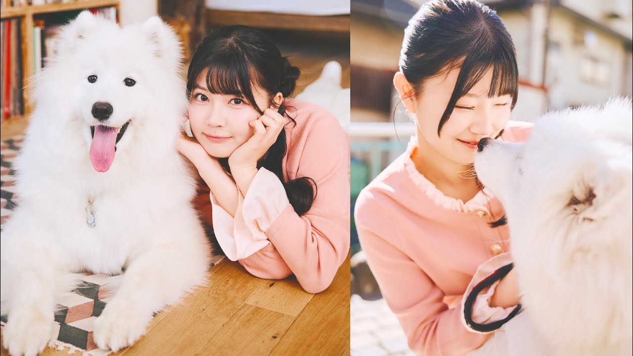 いぎなり東北産・藤谷美海さんが遊びに来てくれました！（サモエド｜月刊わんこ撮影オフショット）