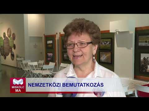 Videó előnézet